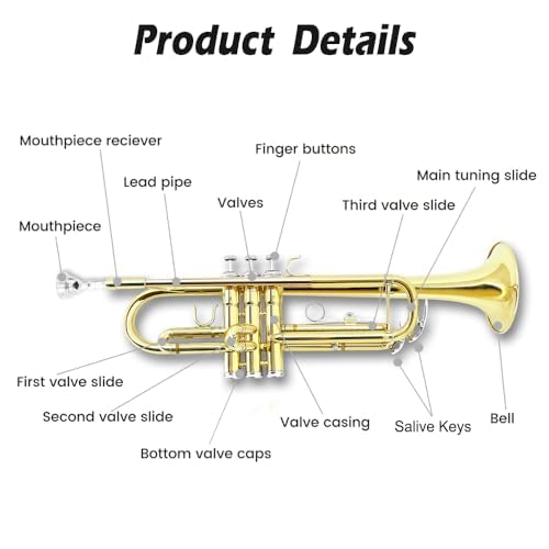 Bb Standard Trumpet Set with Hard Case, 7C Mouthpiece J6026