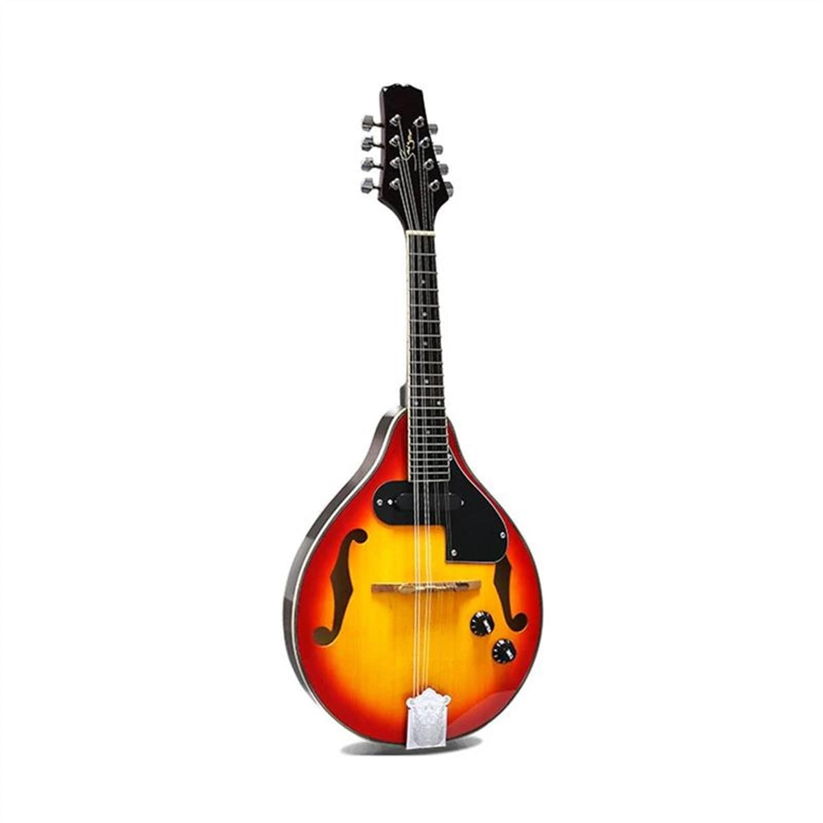 Electric Mandolin 8 Strings Spruce Sunburst Q44811