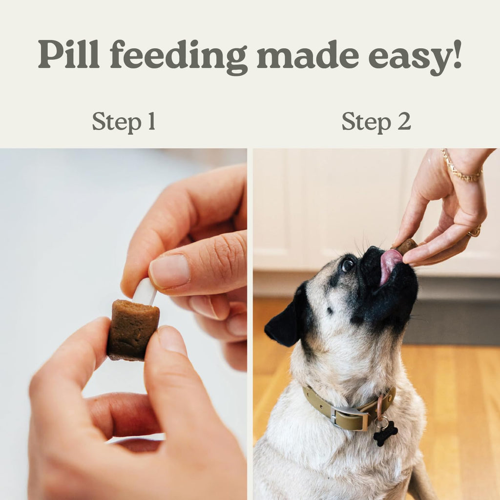 Pill Hiding Treats for Dogs G2709