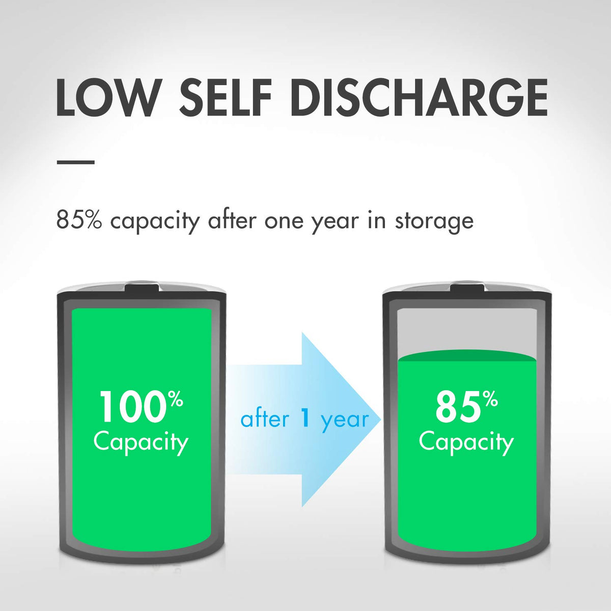 Rechargeable C Batteries and Universal Battery Charger I551511