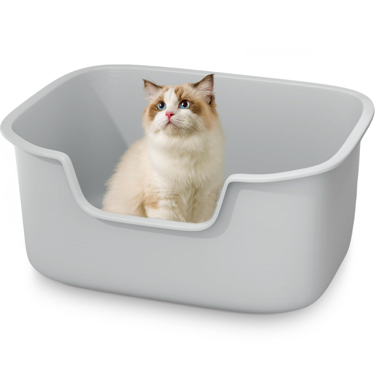 Large High Sides Cat Litter Box T554