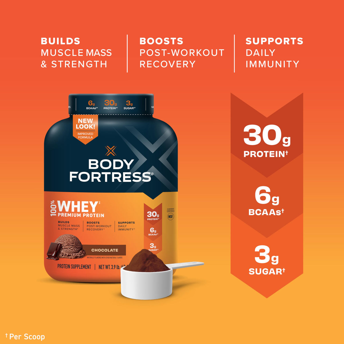 Chocolate Whey Protein Powder V223404
