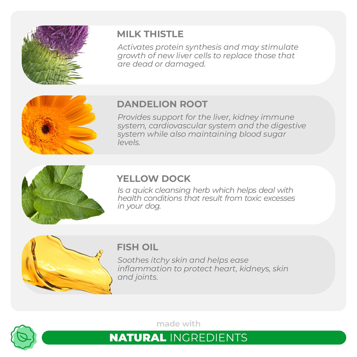 Milk Thistle Multivitamin for Dogs W939792