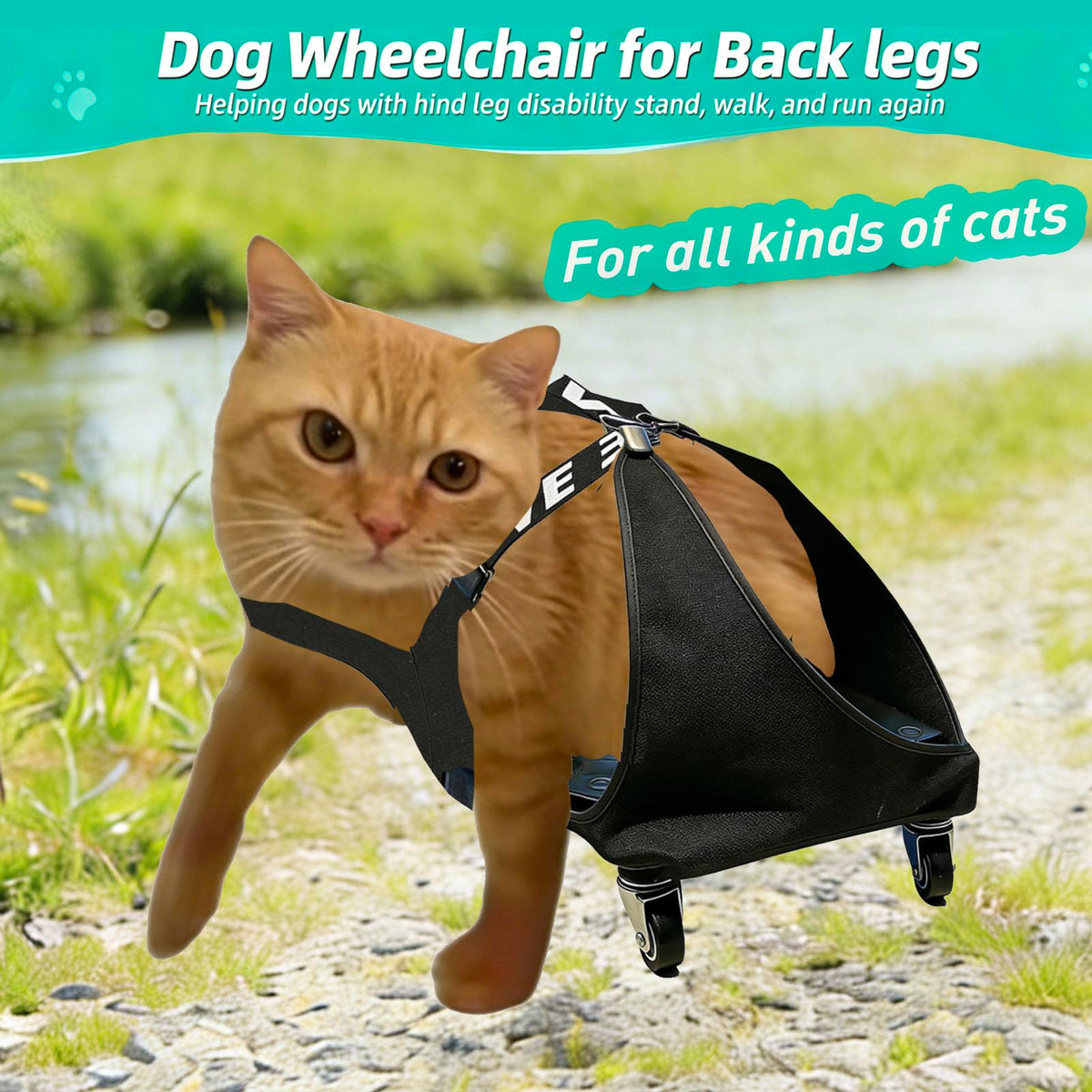 Small Dog or Cat Wheelchair for Back Legs C4446