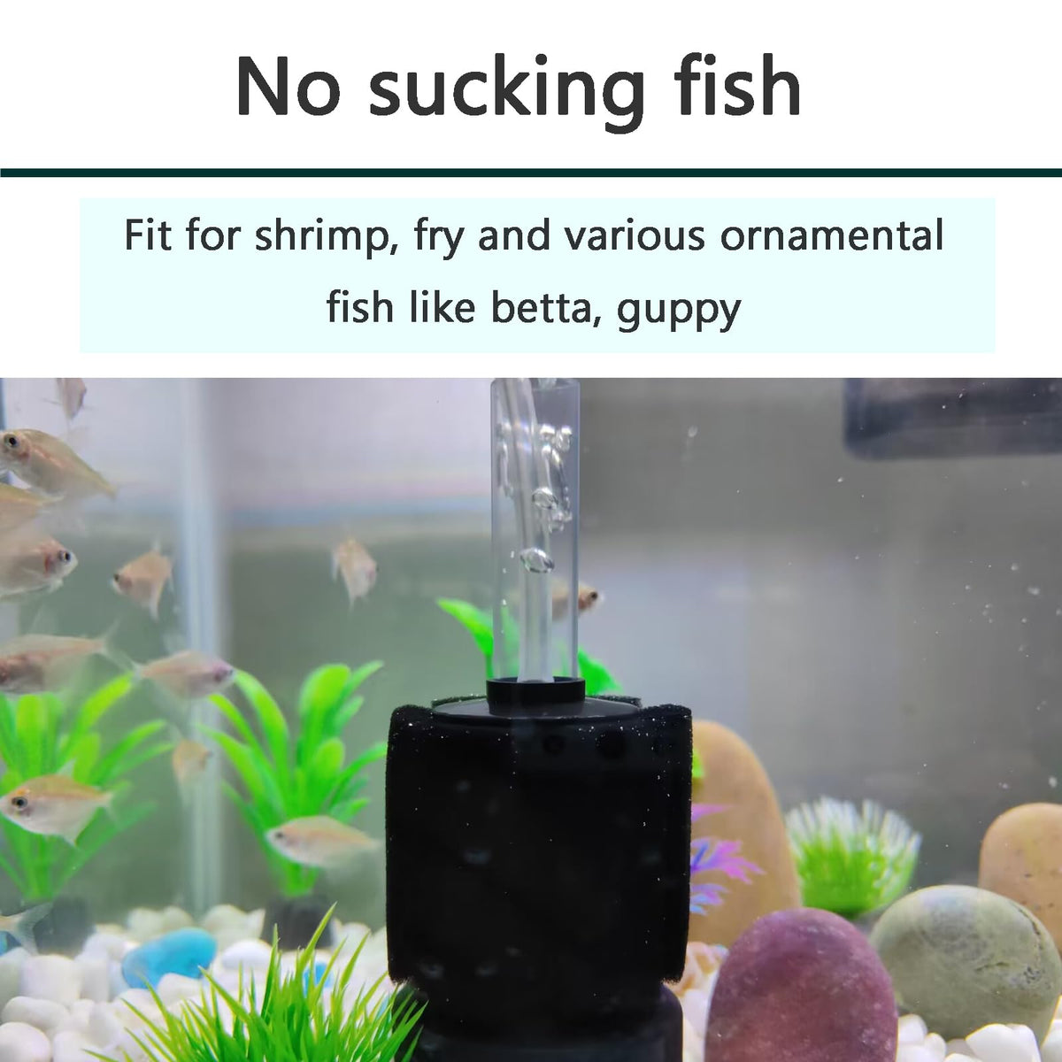 Aquarium Air Powered Sponge Filter with Airline Tubing J504301