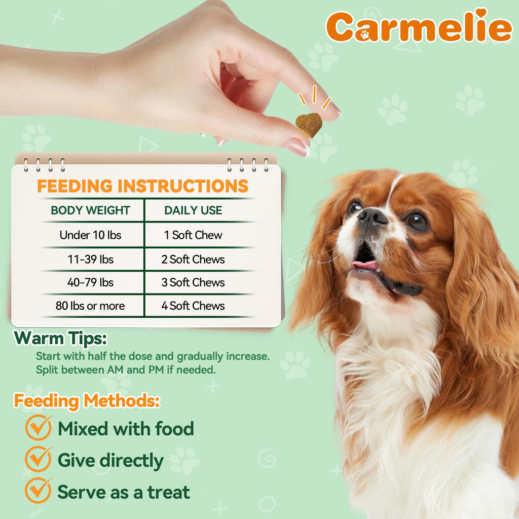 Flea and Tick Prevention for Dogs B13613