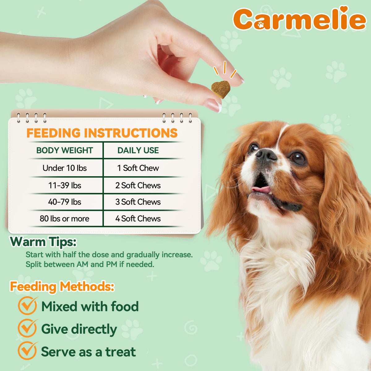 Flea and Tick Prevention for Dogs B13613