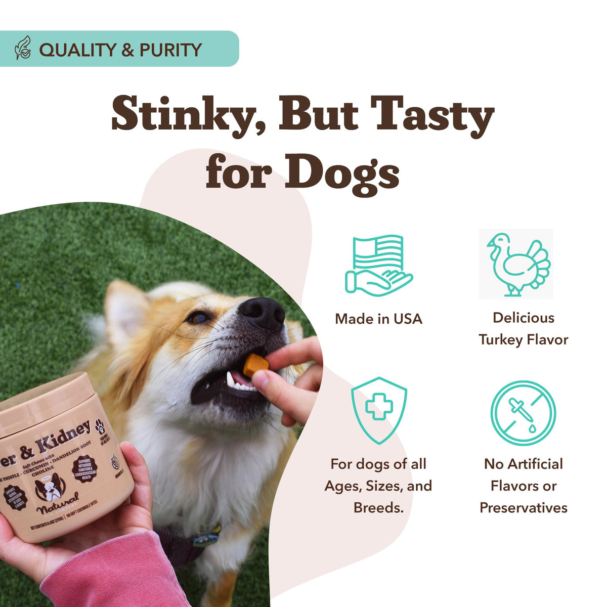 Liver & Kidney Supplement for Dogs 90 Soft Chews M295273