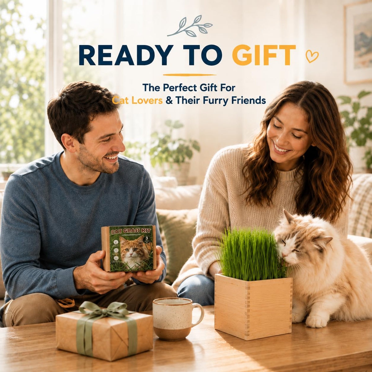 Cat Grass Growing Kit with Wooden Planter Y677