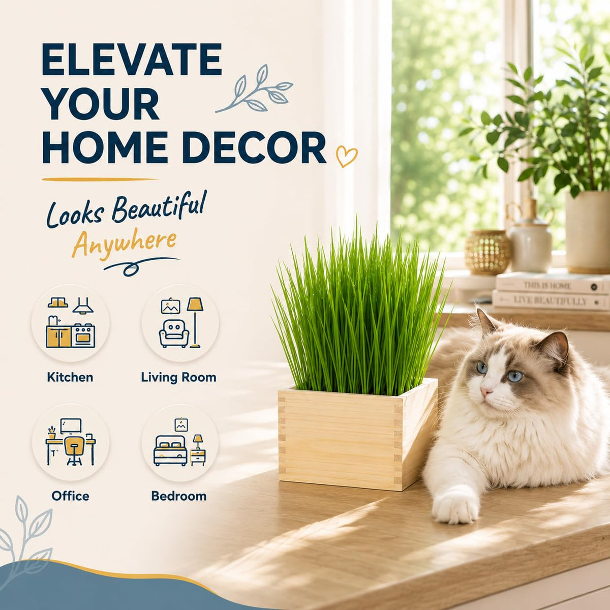 Cat Grass Growing Kit with Wooden Planter Y677