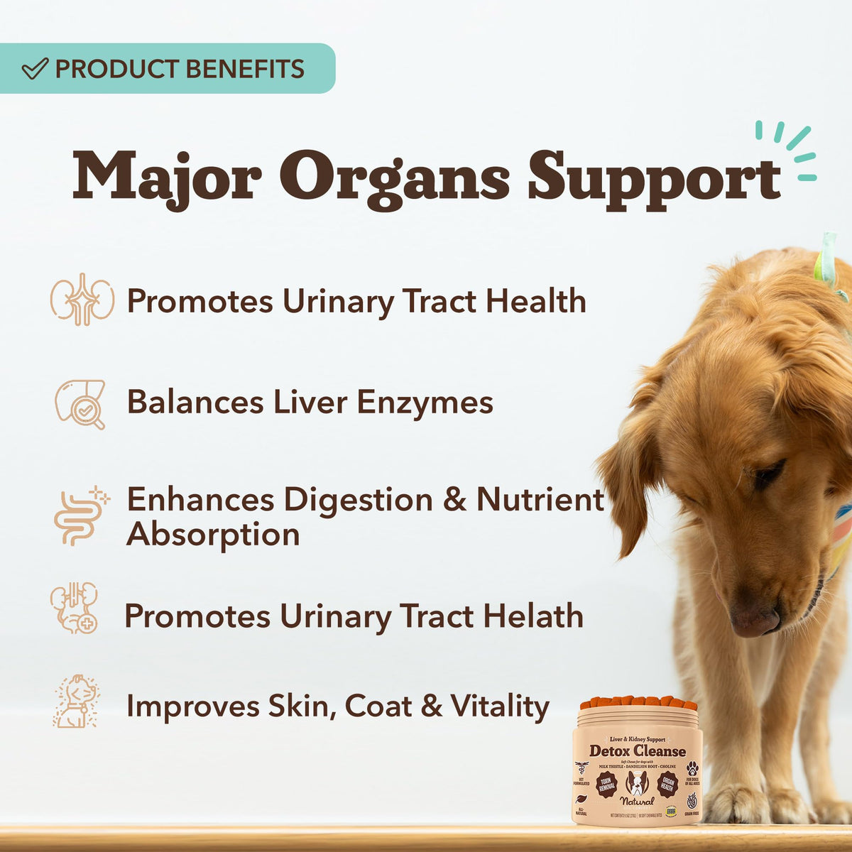 Liver & Kidney Supplement for Dogs 90 Soft Chews M295273