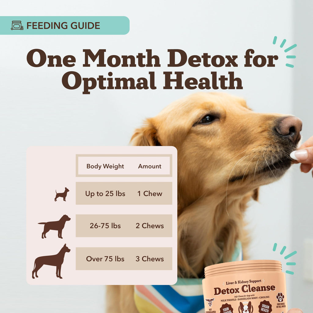 Liver & Kidney Supplement for Dogs 90 Soft Chews M295273