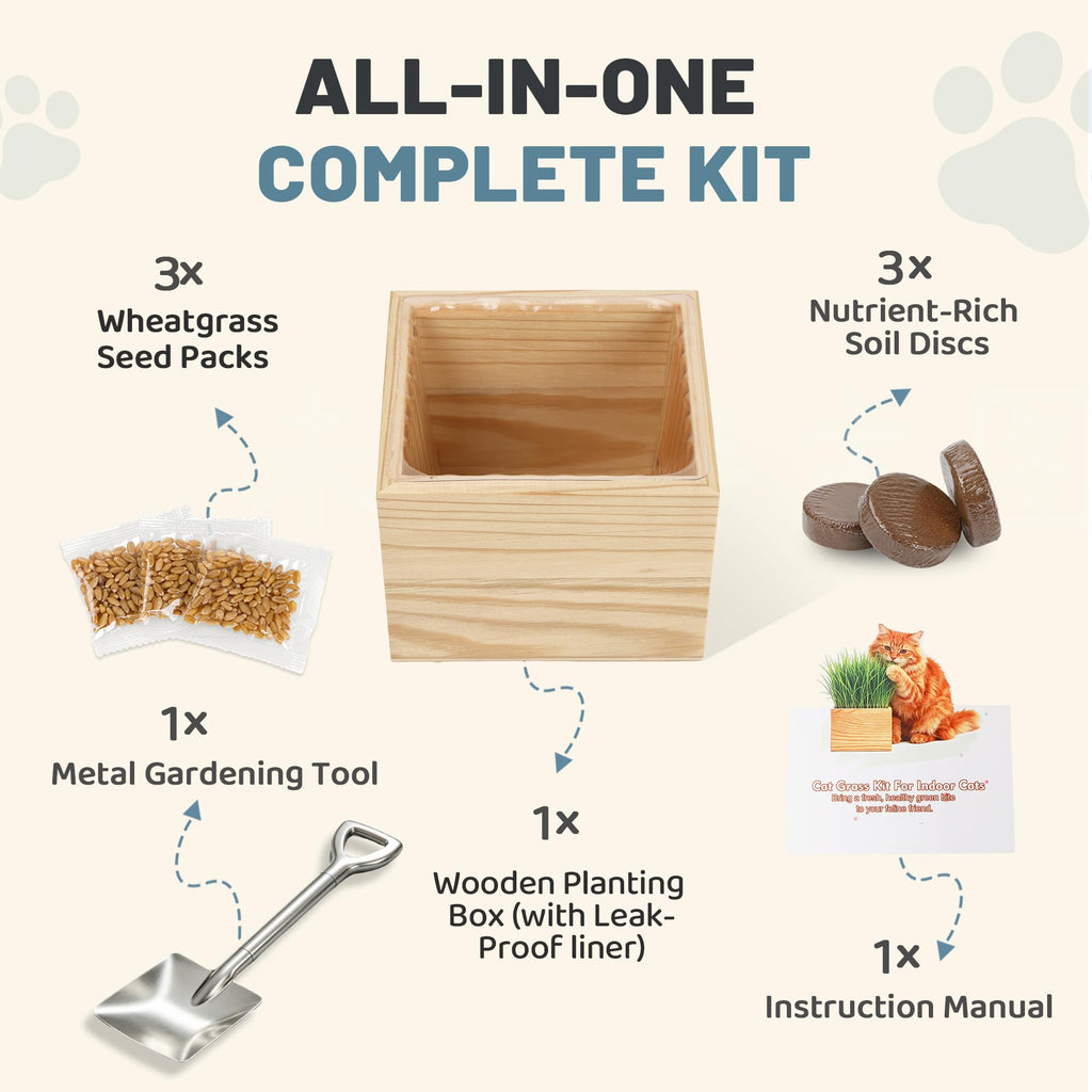 Cat Grass Growing Kit with Wooden Planter Y677