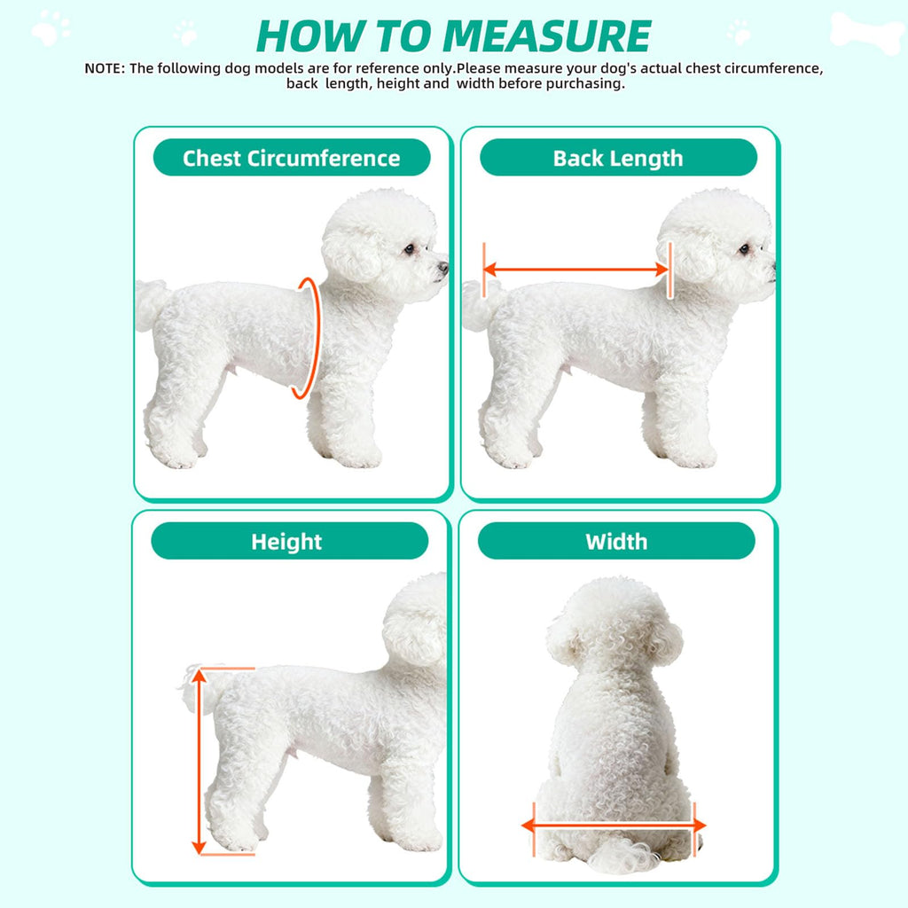 Small Dog or Cat Wheelchair for Back Legs C4446