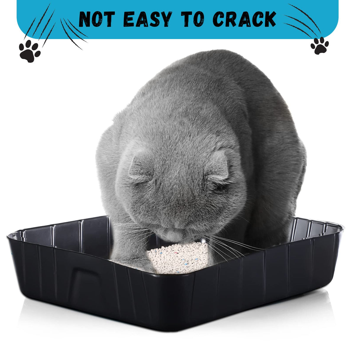 Black Disposable Litter Box for Cats P3531