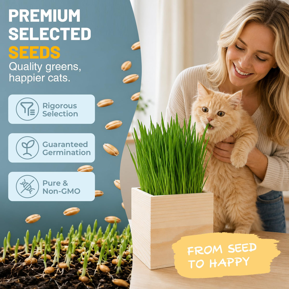 Cat Grass Growing Kit with Wooden Planter Y677