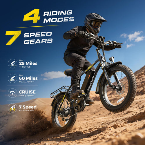 1000W Peak Motor 60+ Miles Fat Tire 20" Electric Bike L677