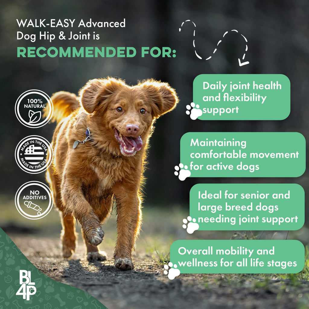 Hip and Joint Supplement for Dogs M1447