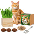 Cat Grass Growing Kit with Wooden Planter Y677