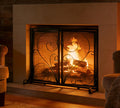 Black Metal Mesh Fireplace Screen with Double Doors Q278843