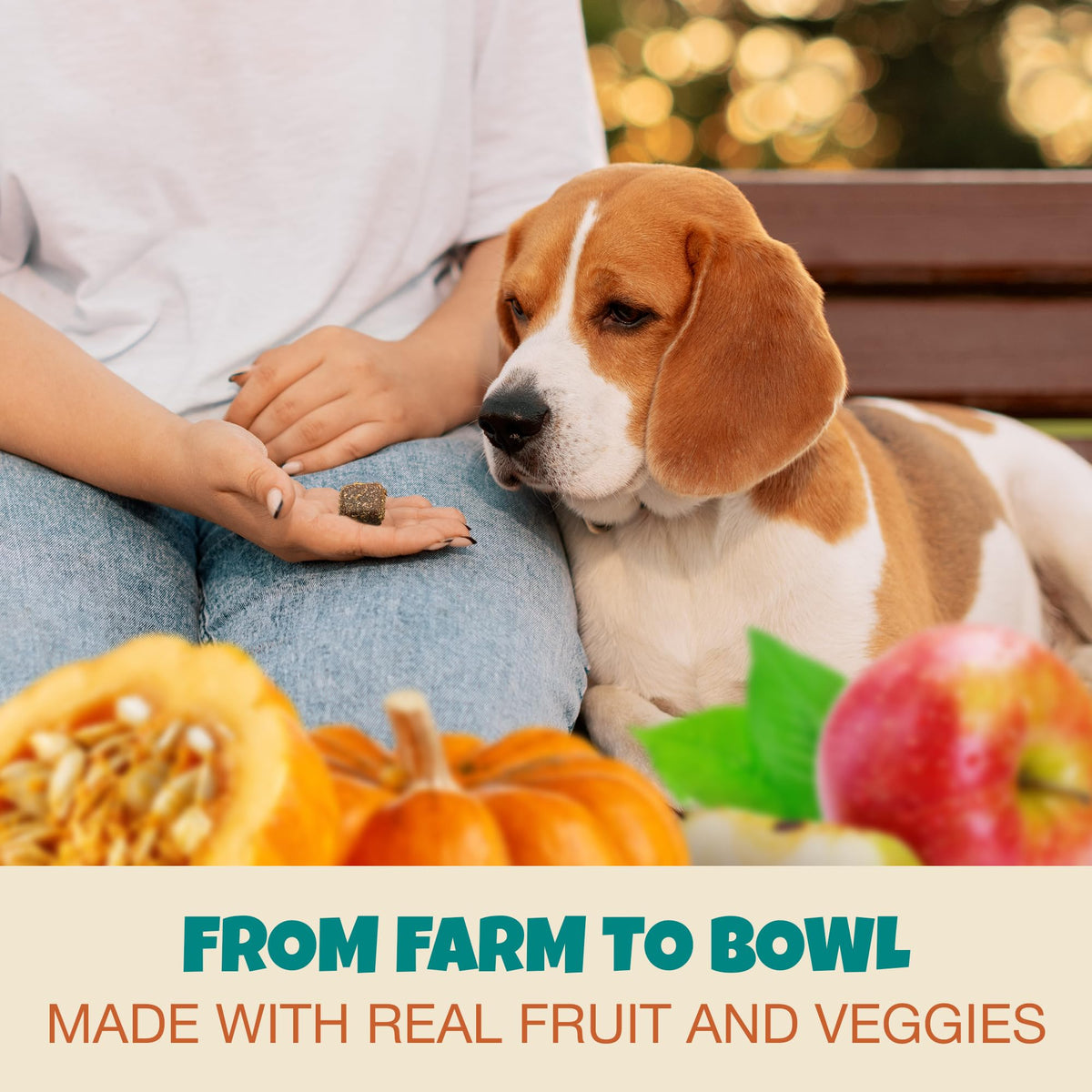Pill Wraps for Dogs with Pumpkin and Probiotics I762