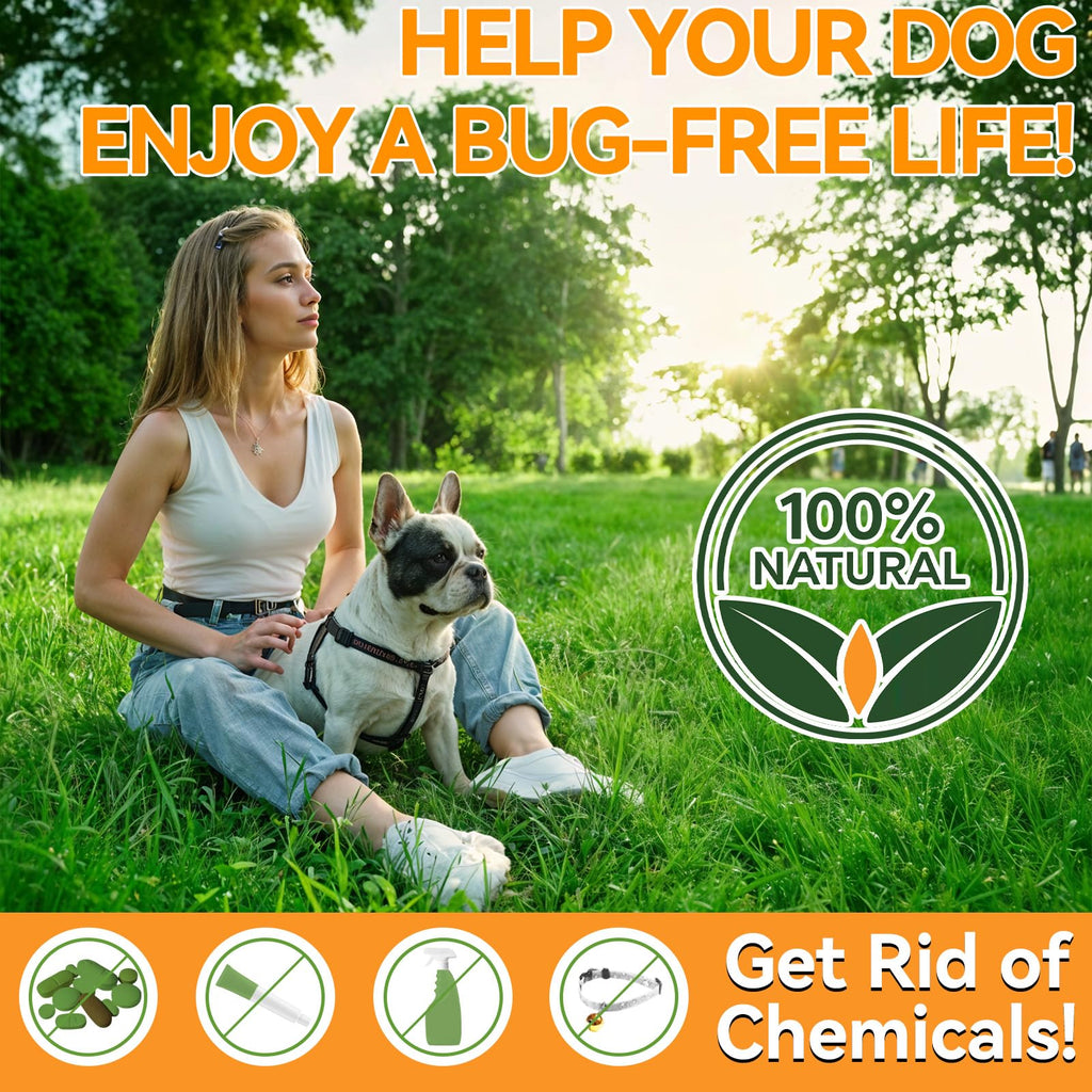 Flea and Tick Prevention for Dogs B13613