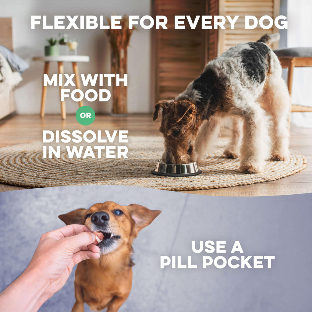 Hip and Joint Supplement for Dogs M1447