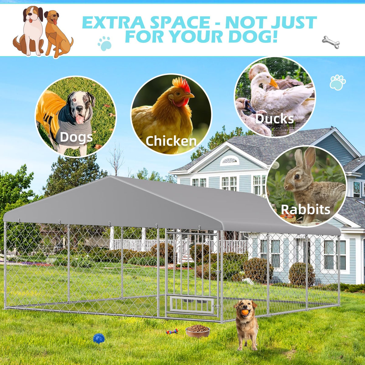 20'x10' Outdoor Dog Kennel with Roof C699936