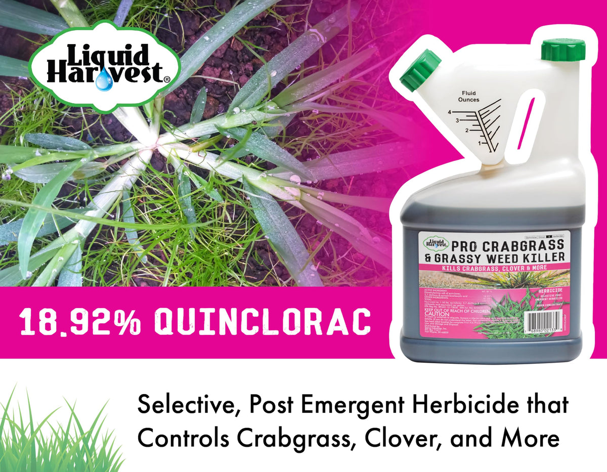 Crabgrass & Grassy Weed Killer 64 Ounces Quinclorac H3399