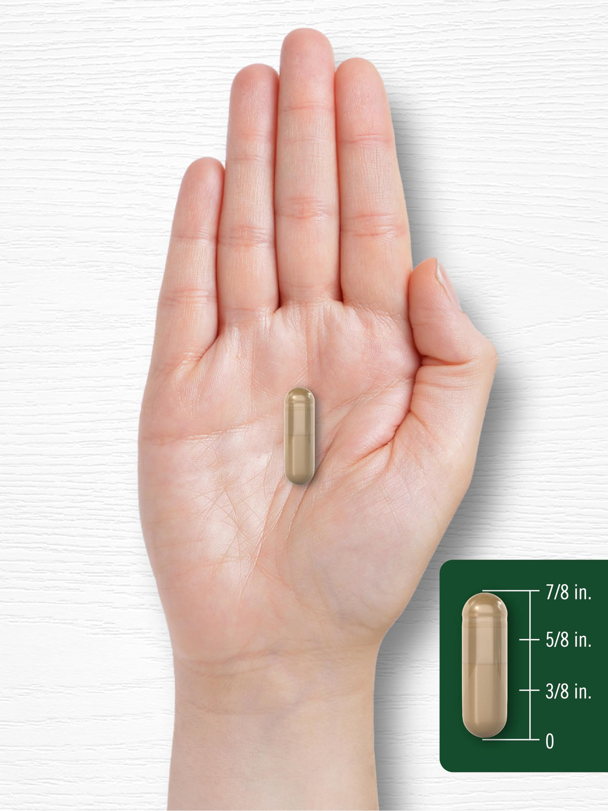 Cinnamon Capsules 120 Count C40549