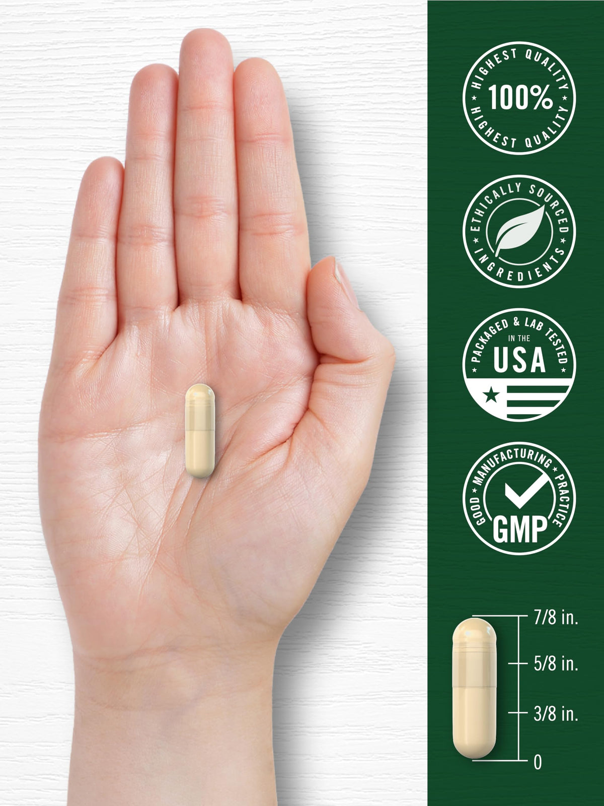 Cinnamon Capsules 120 Count C40549
