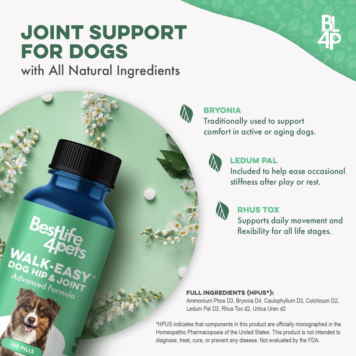 Hip and Joint Supplement for Dogs M1447