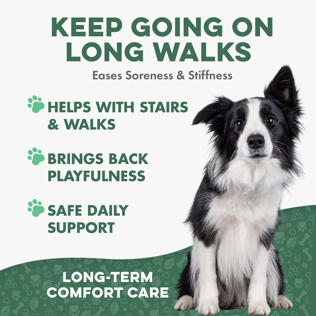 Hip and Joint Supplement for Dogs M1447