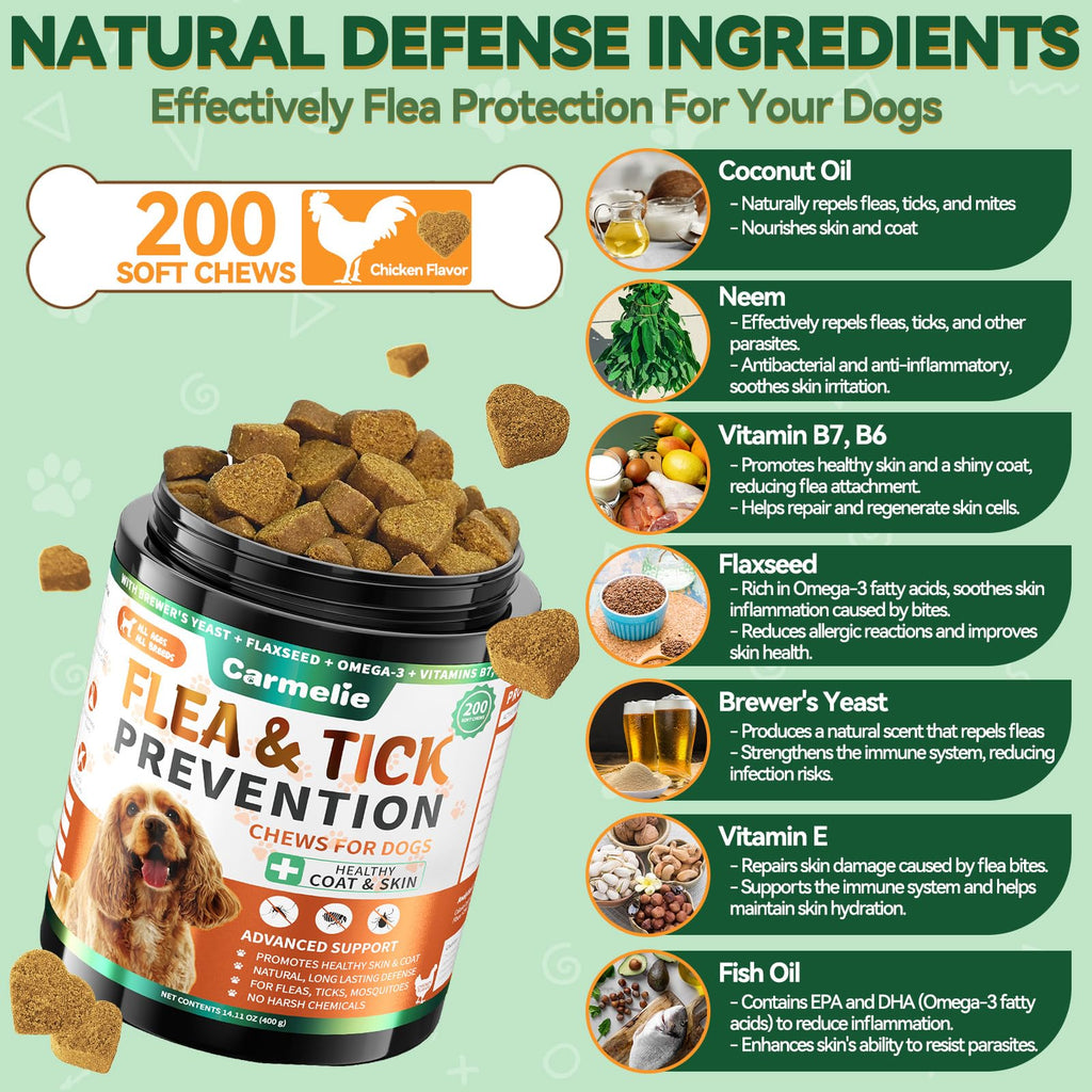 Flea and Tick Prevention for Dogs B13613
